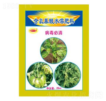 ��������-������