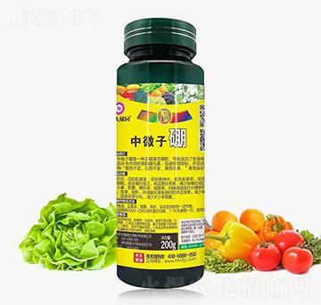 ��΢����-�r��ڈ@