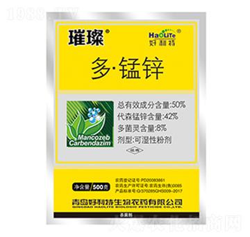 50%�ࡤ�i�\-��-����������