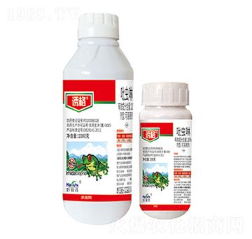 20%���x��-�T��-����������