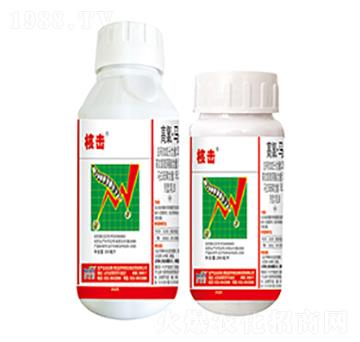 20%���ȡ��R-�˓�-����������