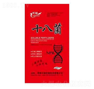 ʮ�˾�-���