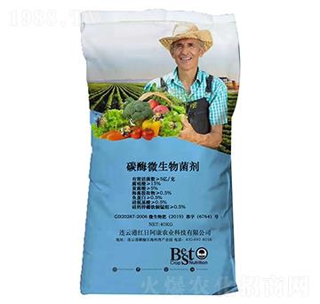 ̼ø΢�������-�t�հ���