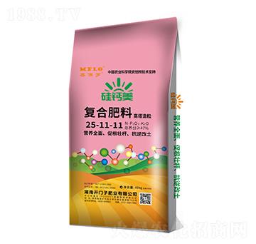 ���}����(f��)�Ϸ���25-11-11-�����_-�_(k��i)�T��