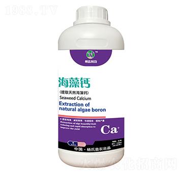 �����}-���r(n��ng)�r(n��ng)�I(y��)