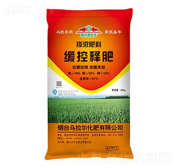 ����ጓ������-������