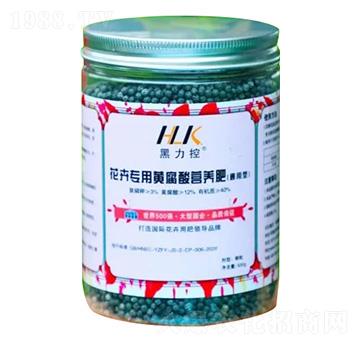 ���܌����S����I(y��ng)�B(y��ng)��-������-ԥ��ʘI(y��)