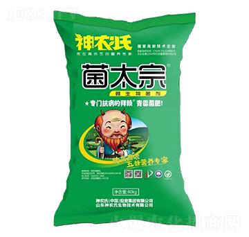 ΢�������-��̫��-��