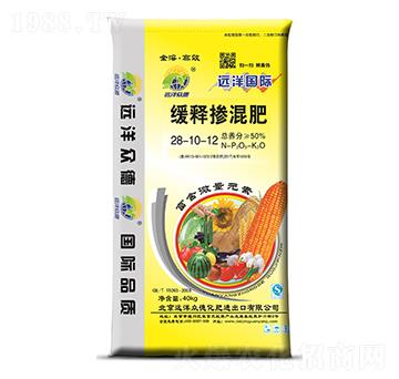 ��ጓ����28-10-12-�h�󱊵�