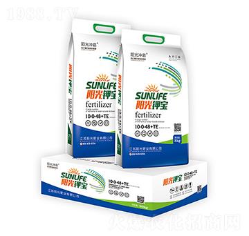 ꖹ�⛌�-ꖹ�ʘI(y��)