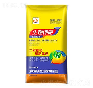 ����⛷�-�����t