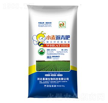 С�������-�����t