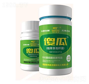 �ݲ�ѿ�ߗU��-ɵ��-(li��n)��μ�