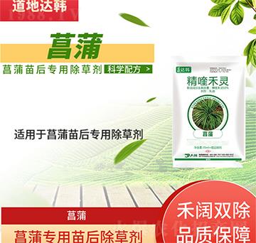 ���ѳ��݄�-�������-