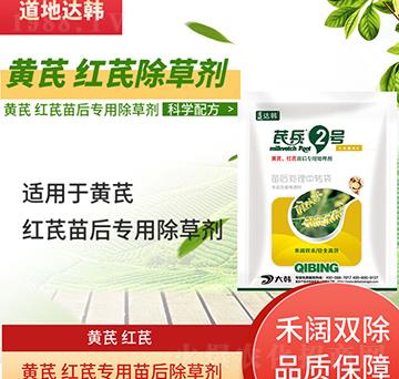 �S�μt�γ��݄�-�S�μt