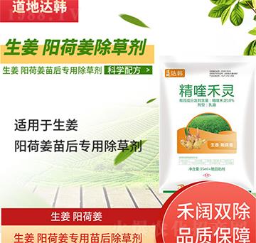 ����ꖺɽ����݄�-����