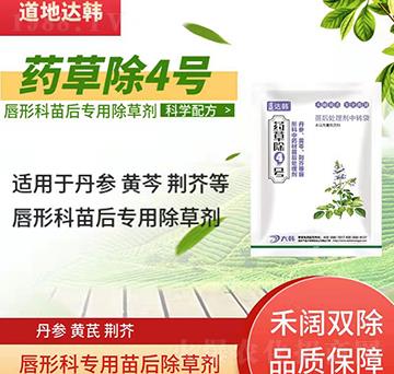 ���οƳ��݄�-���ο���