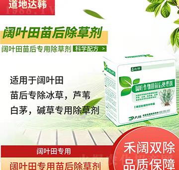 ��~�Ƴ��݄�-��~����