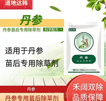 �������݄�-�������-