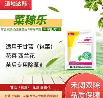 ���{(l��n)�������{(l��n)�����݄�-