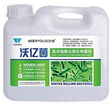 �ߝ�s��(f��)��΢�������-�փ|��-�֠���(y��u)