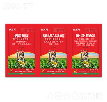 8%煙嘧磺隆+200克/升氯氟吡氧乙酸異辛酯+30%硝·煙·莠去津-新玉靈-鼎來(lái)瑞