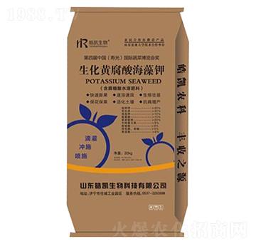 �����S���ả���-�P����