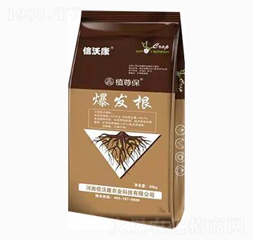 ���l(f��)��-ֲ��-���ֿ�