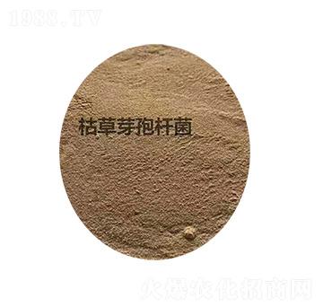 �ݲ�ѿ�ߗU��-�P����