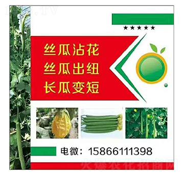 �z�����L��մ��׃�̳��~-�����r(n��ng)�I(y��)