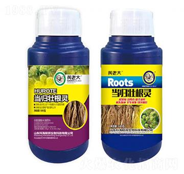 ���w�Ѹ��`-�S�ϴ�-��