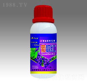 ���n�t-��̫ꖷʘI(y��)