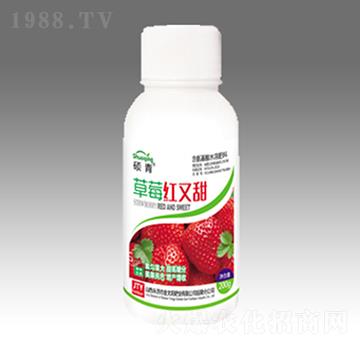 ��ݮ�t����ƿ��-��̫ꖷʘI(y��)