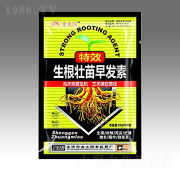 ����������l(f��)��-��̫ꖷʘI(y��)