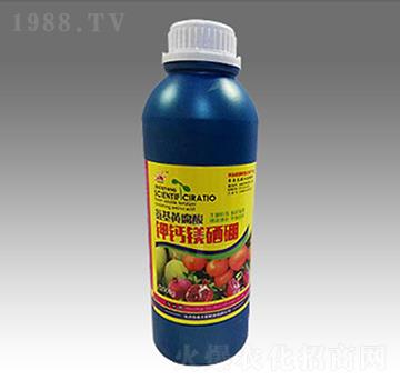 ��}�V����-��̫ꖷʘI(y��)