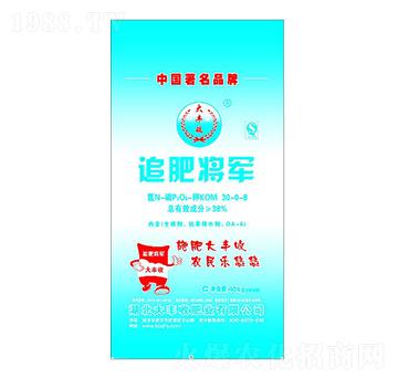 ׷�ʌ�܊-30-0-8���S��