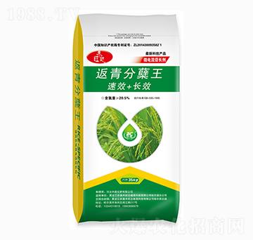 ������Y��-�в�����