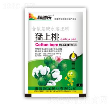 ������-���ɷʘI(y��)