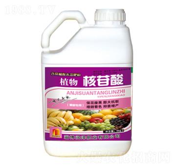 ֲ�������-���ɷʘI(y��)