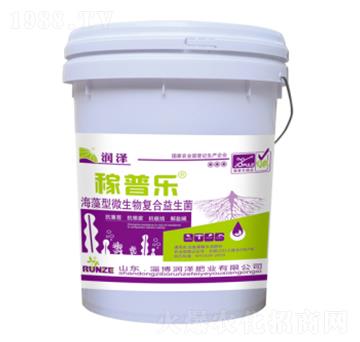 ������΢����ͺ�������-���՘�-���ɷʘI(y��)