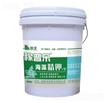 ���徫�1̖-���՘�-���ɷʘI(y��)