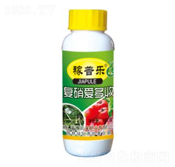 �����۶���-���՘�-���ɷʘI(y��)