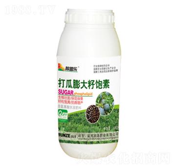 �����������-���՘�-���ɷʘI(y��)