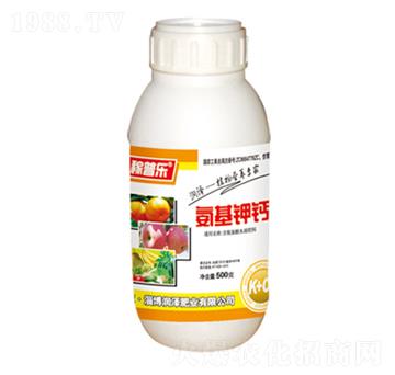 ������}-���՘�-���ɷʘI(y��)