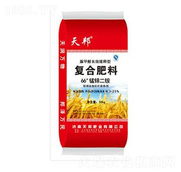 66���i�\���@-���-�f��