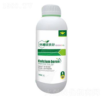 �}���V�F�\-��M��