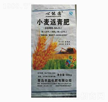 ���܈AС�������-�S�A����