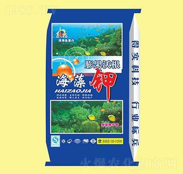 ����Ѹ������-�u�_�ʘI(y��)