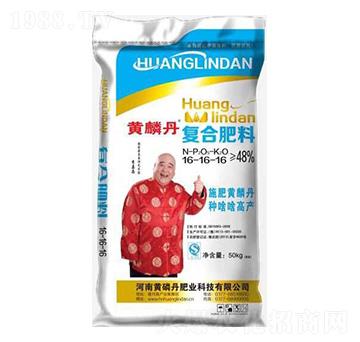 �ͺϷ���16-16-1