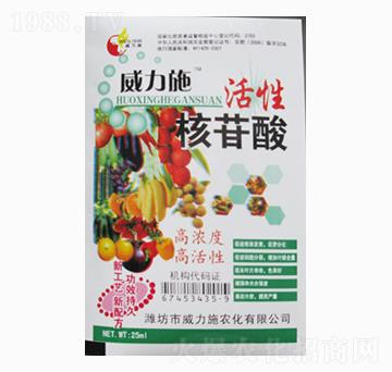 ���Ժ�����-����ʩ